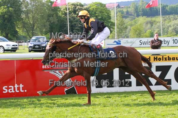IMG 0975 prot