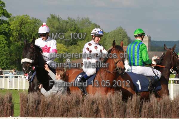 IMG 1007 prot