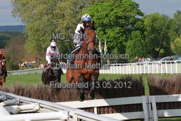IMG 1016 prot