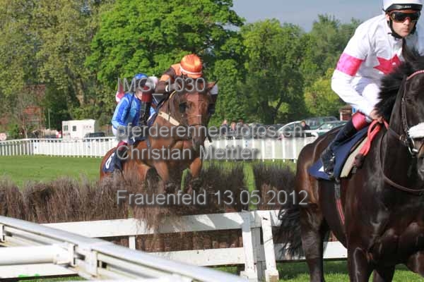 IMG 1030 prot