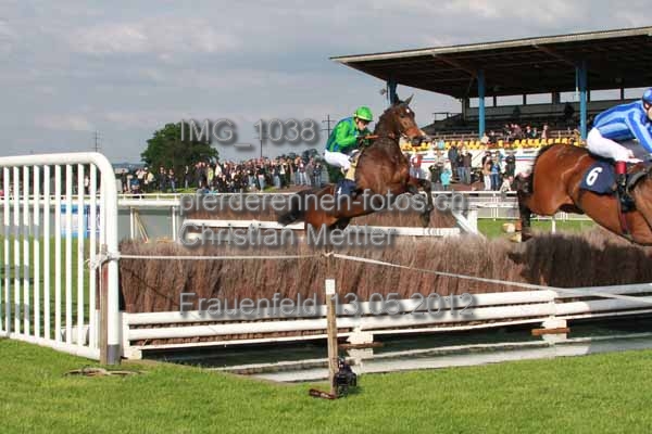 IMG 1038 prot