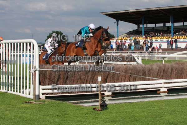IMG 1042 prot