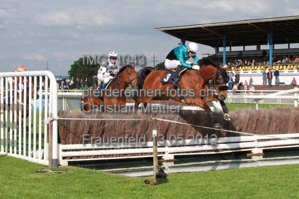 IMG 1043 prot
