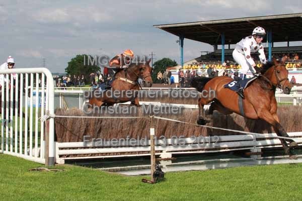 IMG 1044 prot