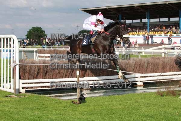 IMG 1047 prot
