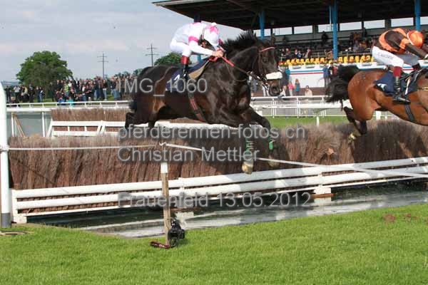 IMG 1060 prot