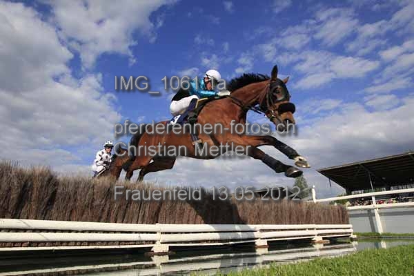 IMG 1061.1a prot