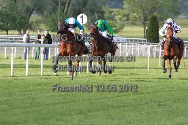 IMG 1063 prot