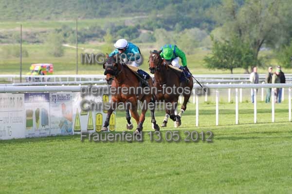 IMG 1070 prot