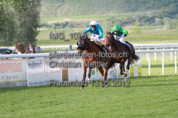 IMG 1073 prot