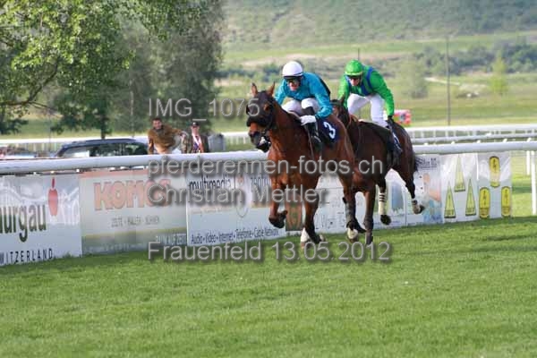IMG 1075 prot