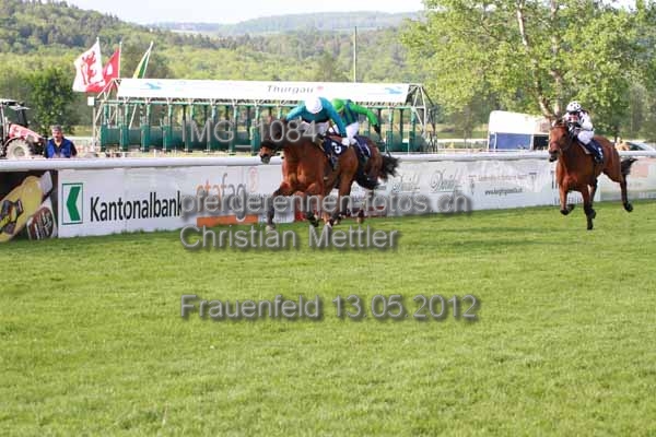 IMG 1084 prot