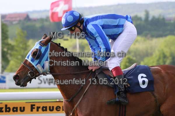 IMG 1106 prot