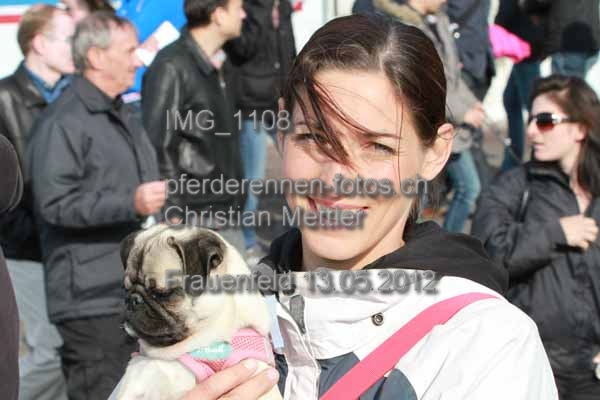 IMG 1108 prot