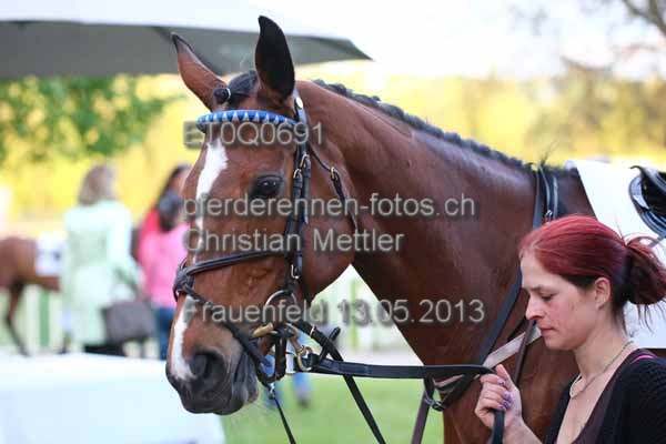 ET0Q0691 prot