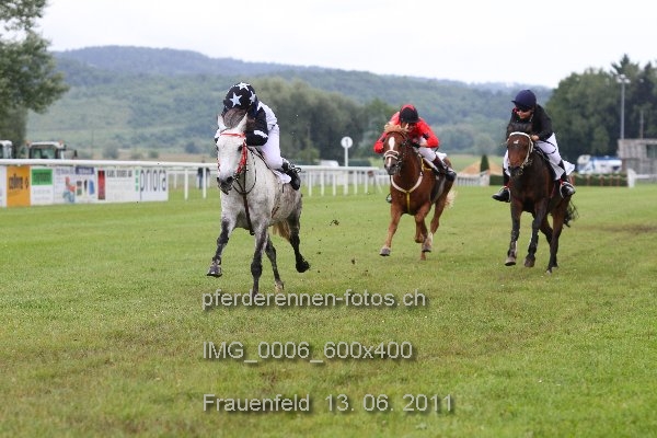 IMG 0006 600x400 prot