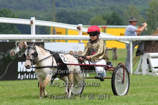 IMG 0032 600x400 prot