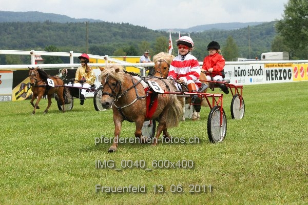 IMG 0040 600x400 prot