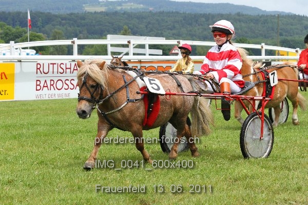 IMG 0041 600x400 prot