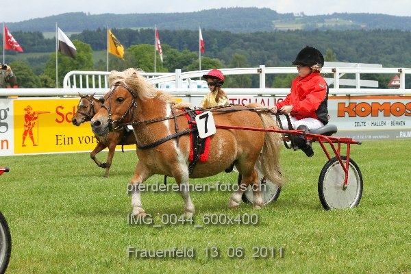 IMG 0044 600x400 prot