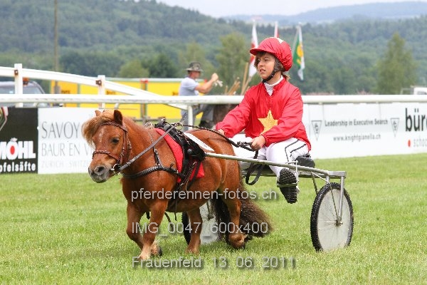 IMG 0047 600x400 prot