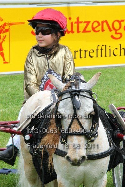 IMG 0063 600x400 prot