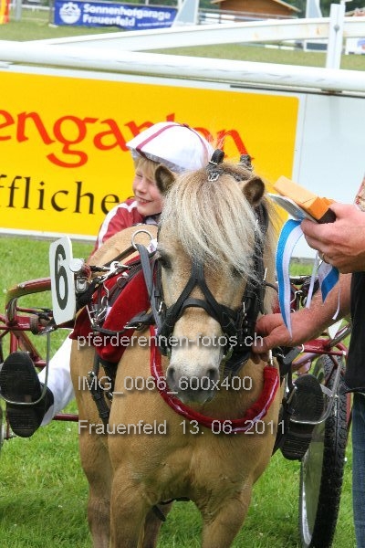 IMG 0066 600x400 prot