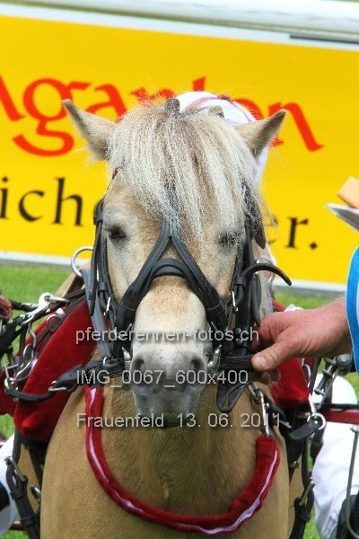 IMG 0067 600x400 prot