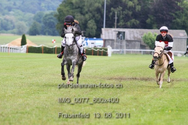 IMG 0077 600x400 prot