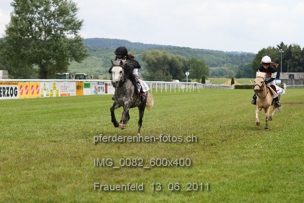 IMG 0082 600x400 prot