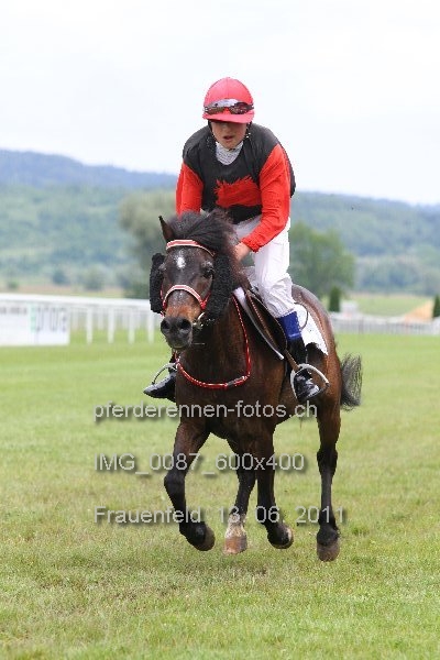 IMG 0087 600x400 prot