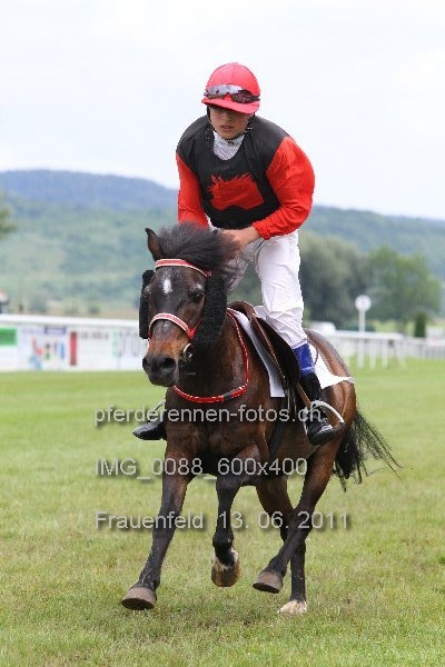 IMG 0088 600x400 prot