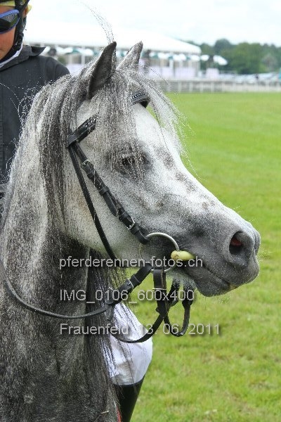 IMG 0106 600x400 prot