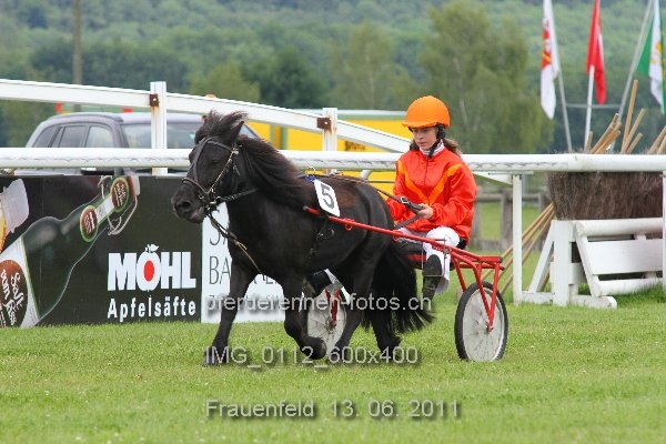 IMG 0112 600x400 prot