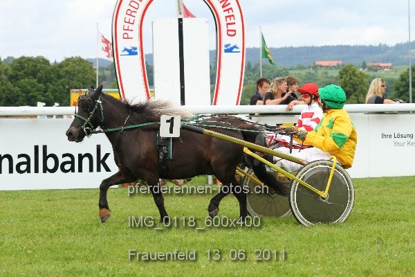 IMG 0118 600x400 prot