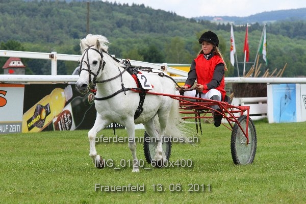 IMG 0120 600x400 prot