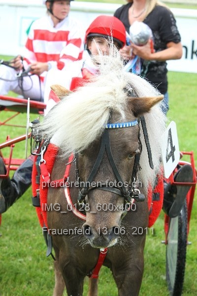 IMG 0128 600x400 prot