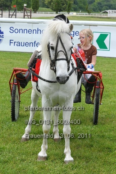 IMG 0131 600x400 prot