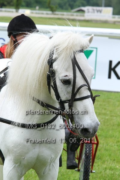 IMG 0132 600x400 prot