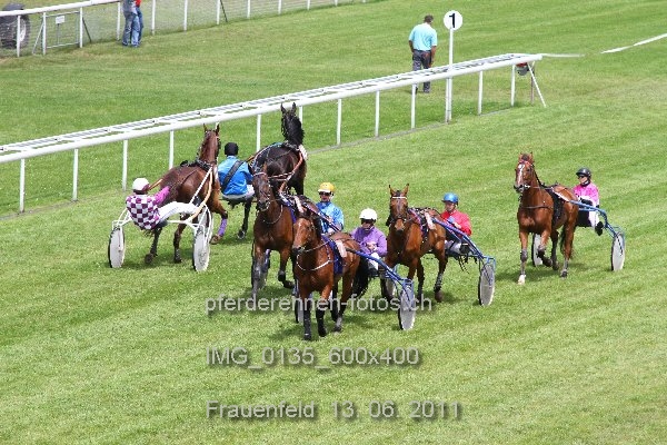 IMG 0135 600x400 prot