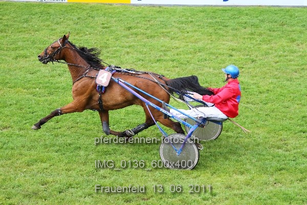 IMG 0136 600x400 prot