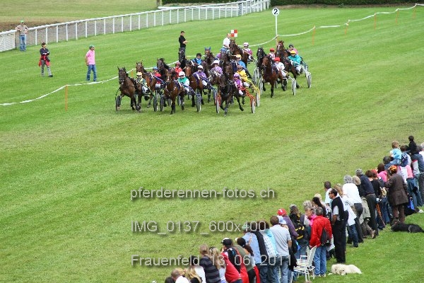 IMG 0137 600x400 prot