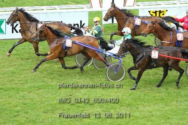 IMG 0142 600x400 prot