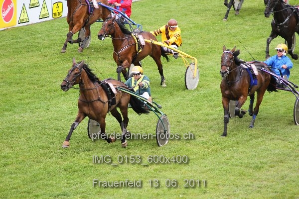 IMG 0153 600x400 prot