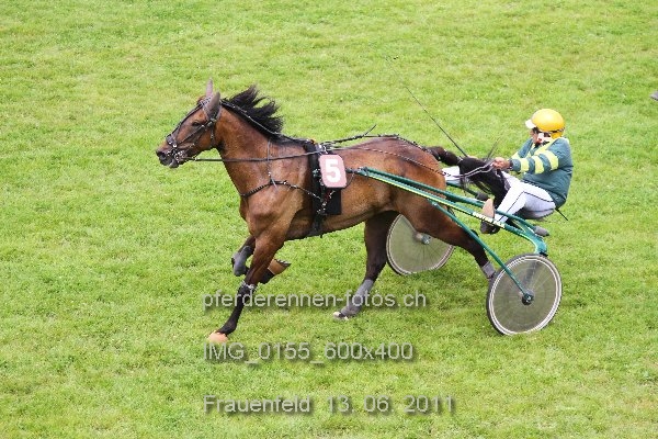 IMG 0155 600x400 prot