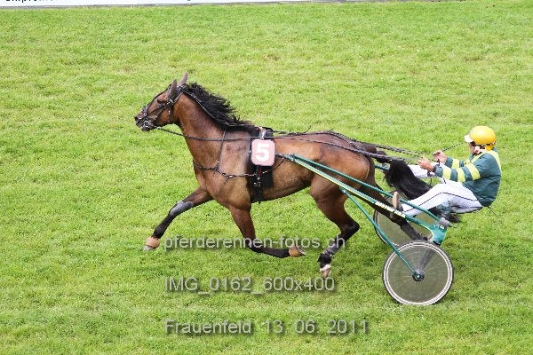 IMG 0162 600x400 prot