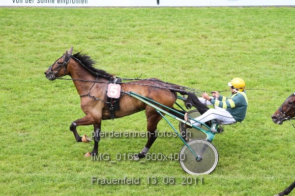 IMG 0163 600x400 prot