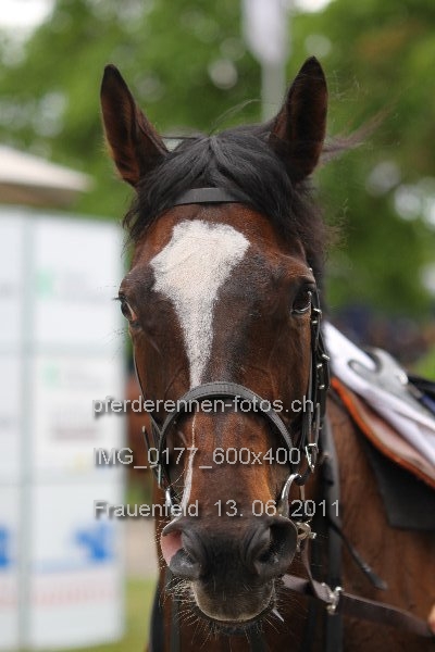 IMG 0177 600x400 prot