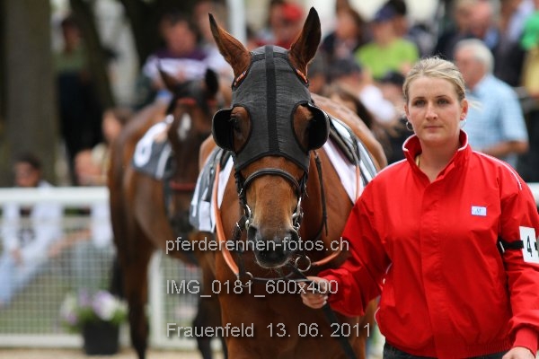 IMG 0181 600x400 prot