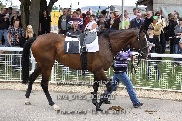 IMG 0185 600x400 prot